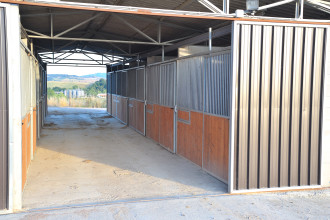 Fecondazione Fecondazione