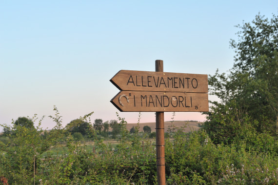 Indicazioni Indicazioni